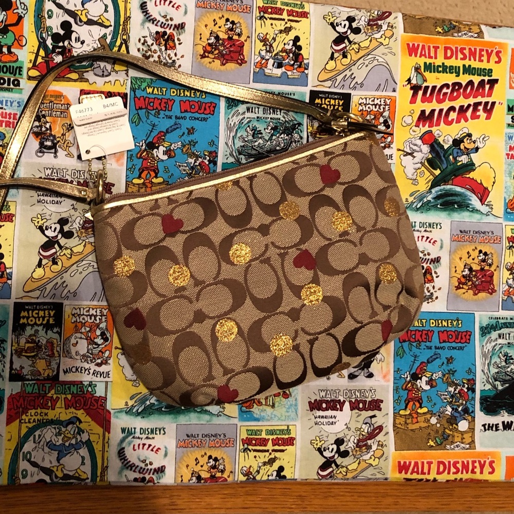Coach side bag and matching wallet